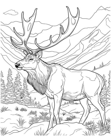 Elk Hunting Coloring Page