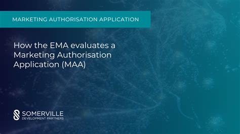 Common Applications of Exponential Moving Average