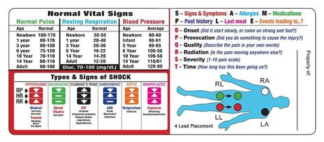 Emergency Department Vital Signs Chart