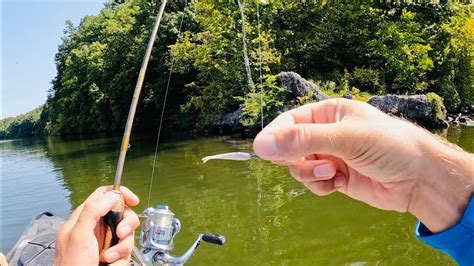 Fishing in Emory's Land