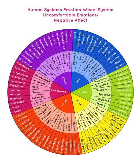 Emotional Regulation Emotions Wheel