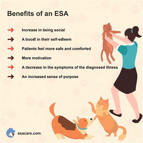 Emotional Support Animal Benefits