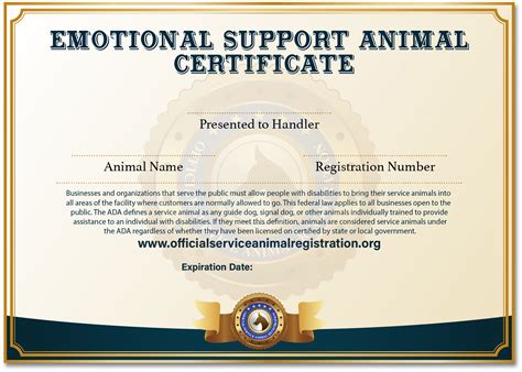 Emotional Support Animal Certificate Template Example