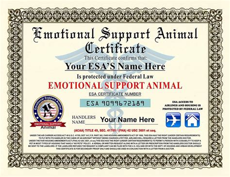 Emotional Support Animal Certification