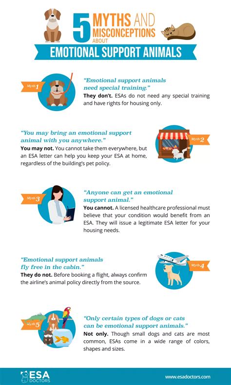 Emotional Support Animal Misconceptions