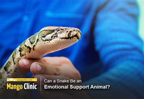 Emotional Support Animal Snake