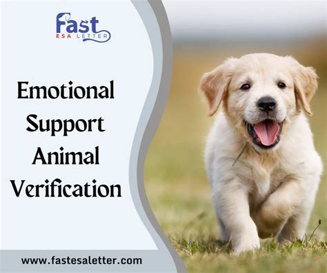 Emotional Support Animal Verification Process