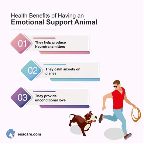 Benefits of Emotional Support Dog Certificate