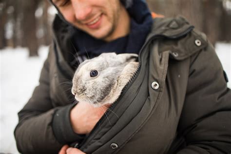 Emotional Support Rabbits