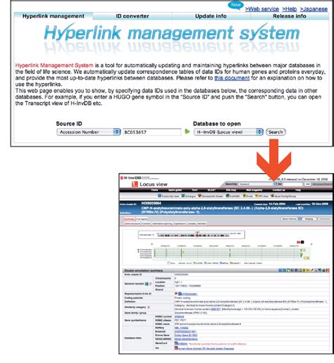 Enabling Hyperlinks in Excel