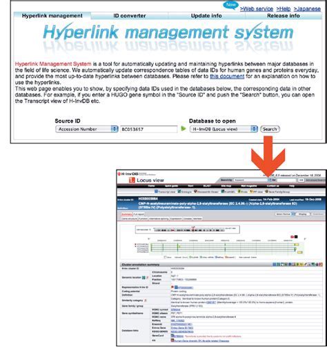 Enabling Hyperlinks in Excel