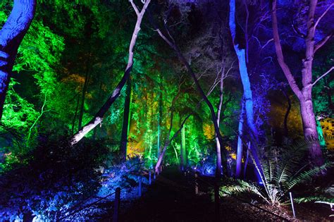 Enchanted Forest of Lights at Fiddlers Grove