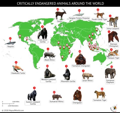 Endangered Animal Map