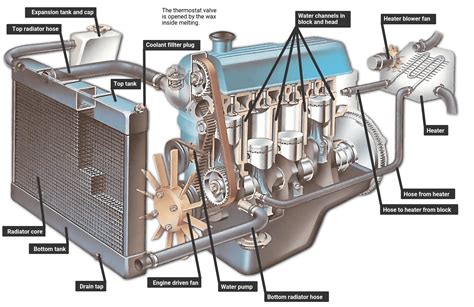 The engine cooling system is compromised when oil levels are low