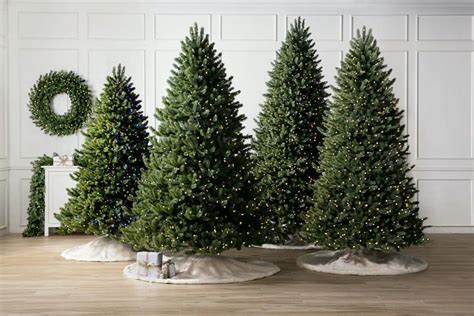 English Garden Christmas Tree Size and Shape