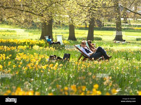 Enjoying the Park in Different Weather Conditions