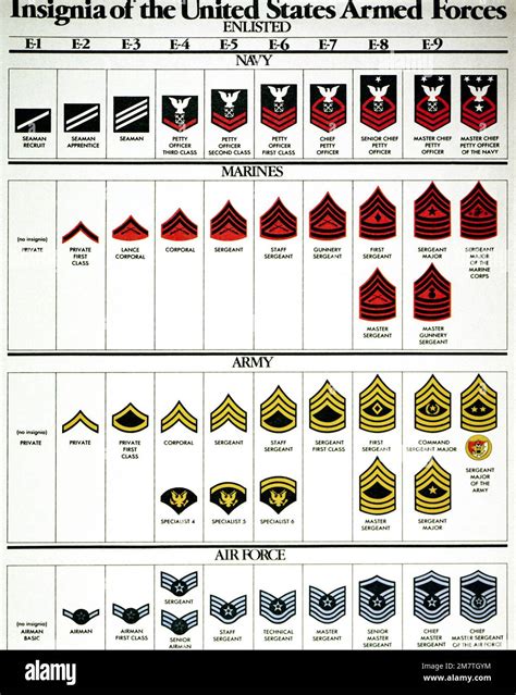 Enlisted Personnel