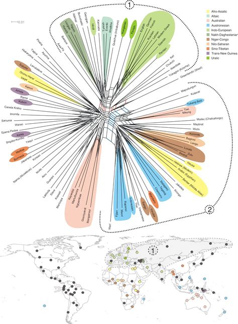 Enroute language evolution image