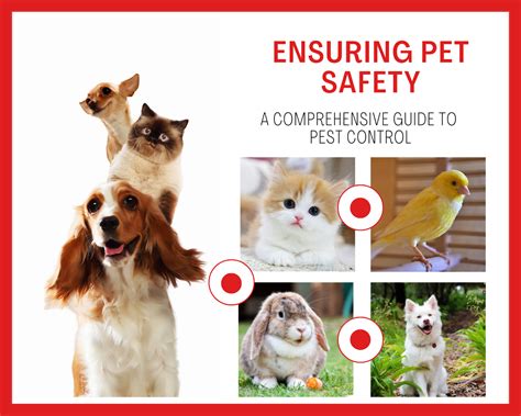 Ensuring Your Pet's Safety