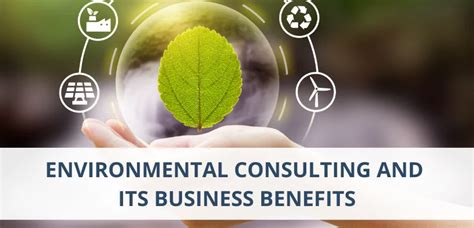 Environmental consulting career