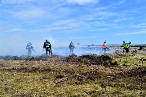 Environmental damage caused by the Falklands War