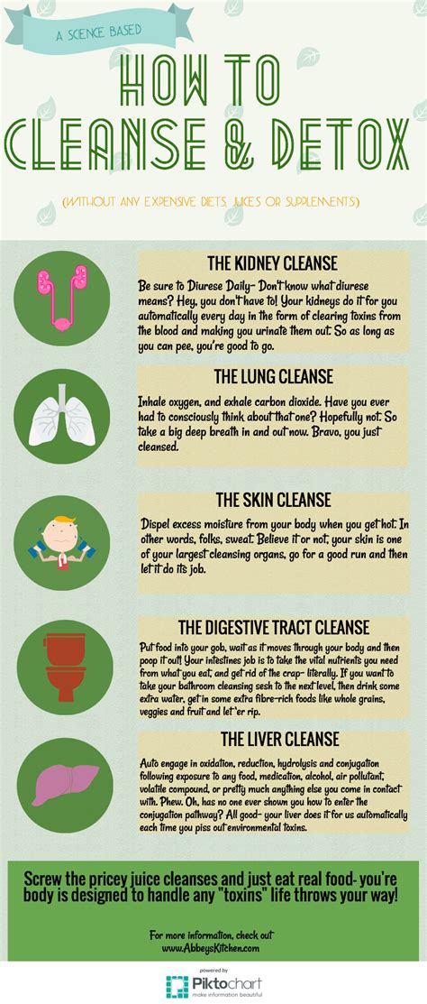 Description of Environmental Detox Tips