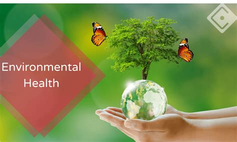 Environmental Health Education