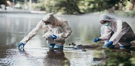 Environmental health officers at work