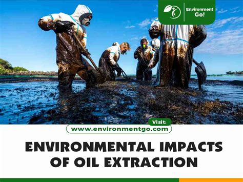 Environmental impact of oil