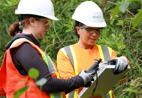 Environmental Officer Developing Environmental Plans