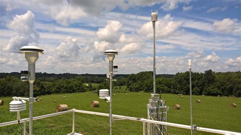 Environmental Officer Monitoring Air Quality