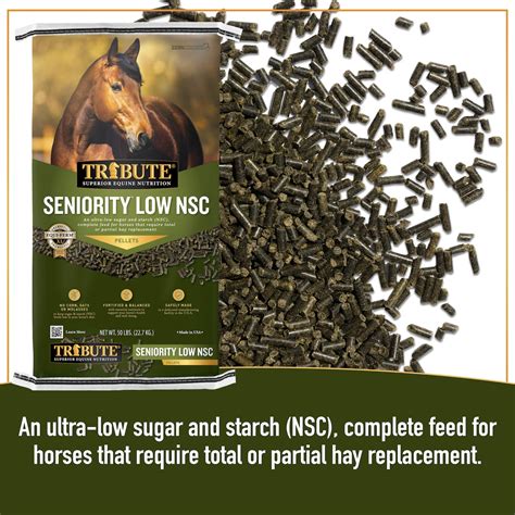 Equine feed