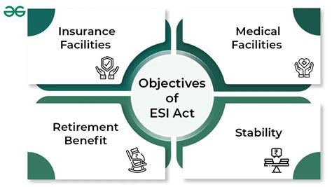 Esin Benefits and Challenges Description