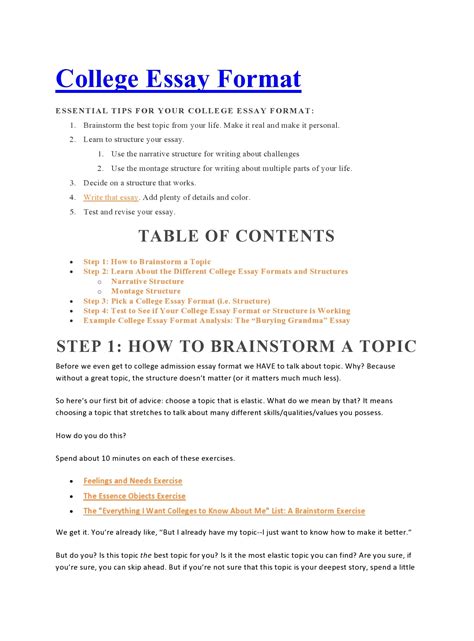 Essay Template Design