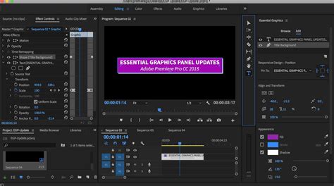 Essential Graphics Panel in Adobe Premiere Pro