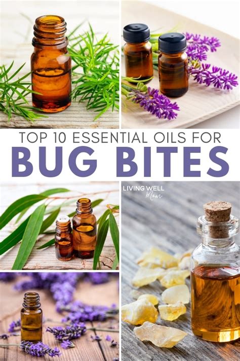 Essential Oils for Insect Bites