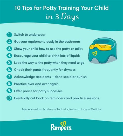 Essential tips for potty training