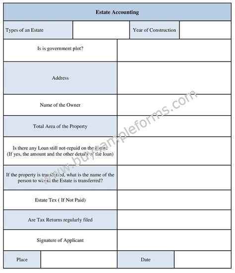 Estate Accounting Template Example