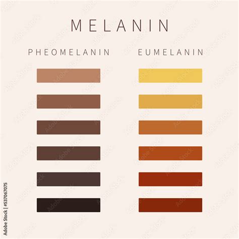 Eumelanin structure