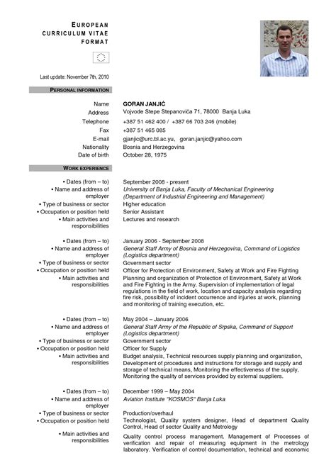 European CV Example for Professionals 4