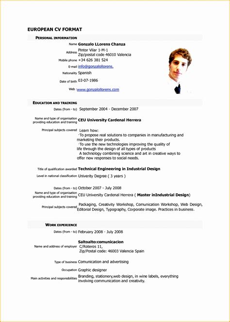 European CV Template with Picture 5