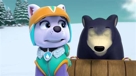 Everest Paw Patrol Image 2