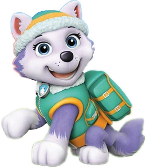 Everest Paw Patrol Image 5