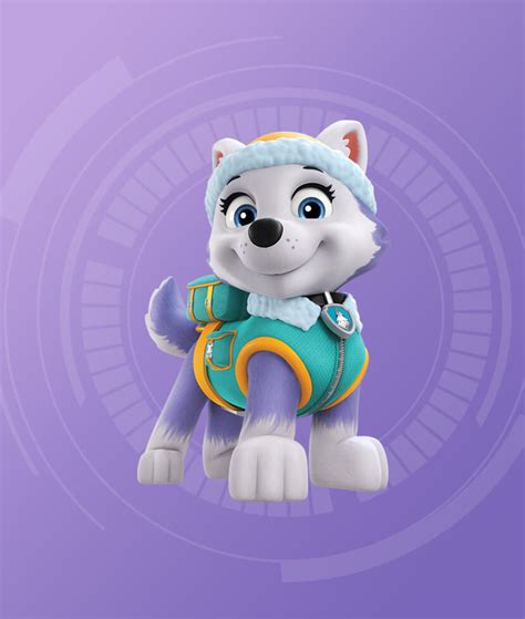 Everest Paw Patrol Image 8