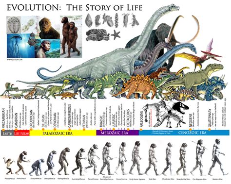 Evolution of Size in Prehistoric Organisms