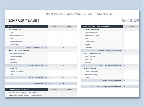 Detailed Example of a Nonprofit Balance Sheet Template