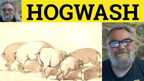 Hogwash in Everyday Language