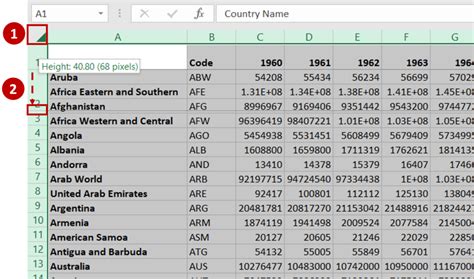 Excel Add-Ins Expand All Rows