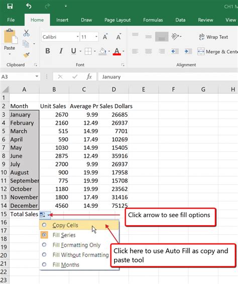 Excel Auto Editing Options