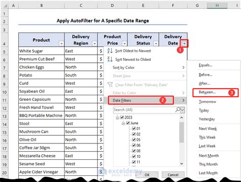 Excel AutoFilter Date Range